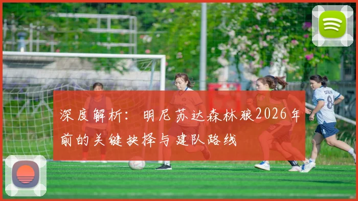 深度解析：明尼苏达森林狼2026年前的关键抉择与建队路线